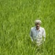 Farmer